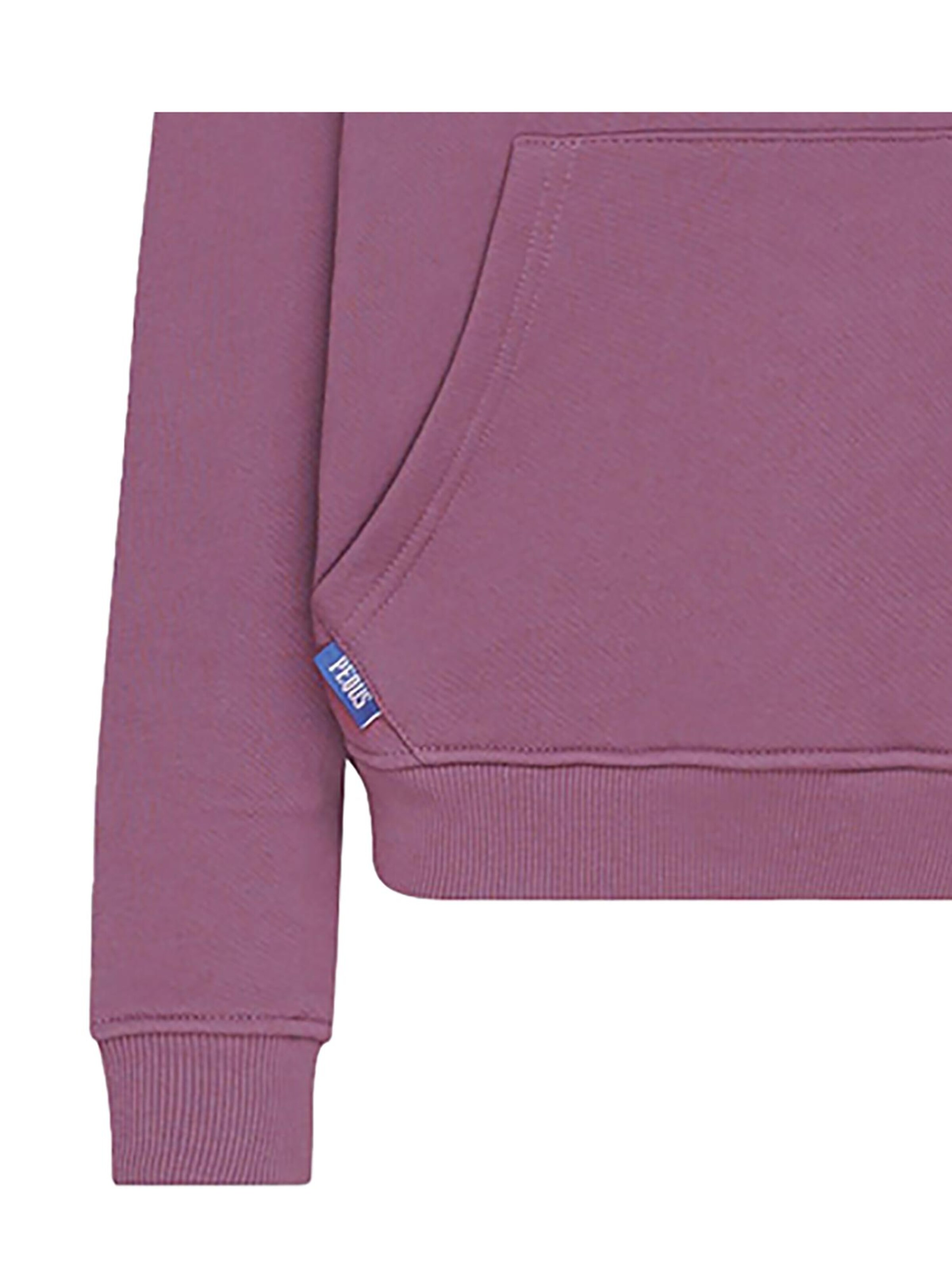 Pequs Sweatshirt 'Mythic' in Purple