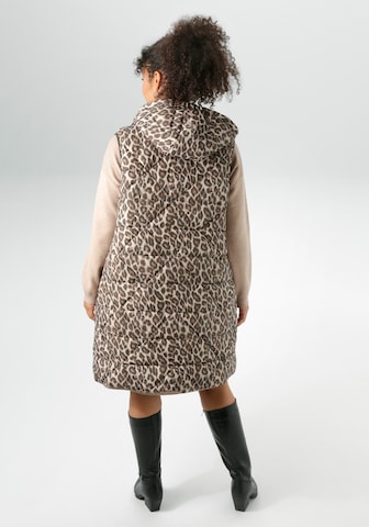 Aniston Vest in Brown