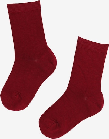 Calzino di Sokisahtel in rosso: frontale