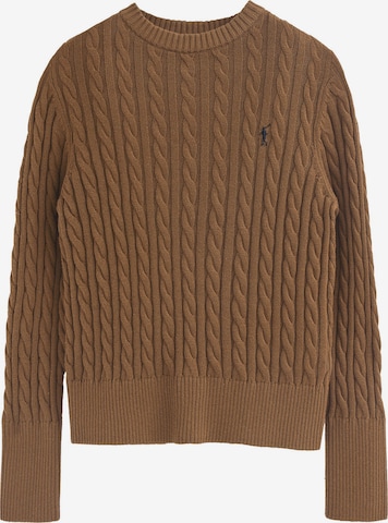 Polo Club Sweater in Brown: front