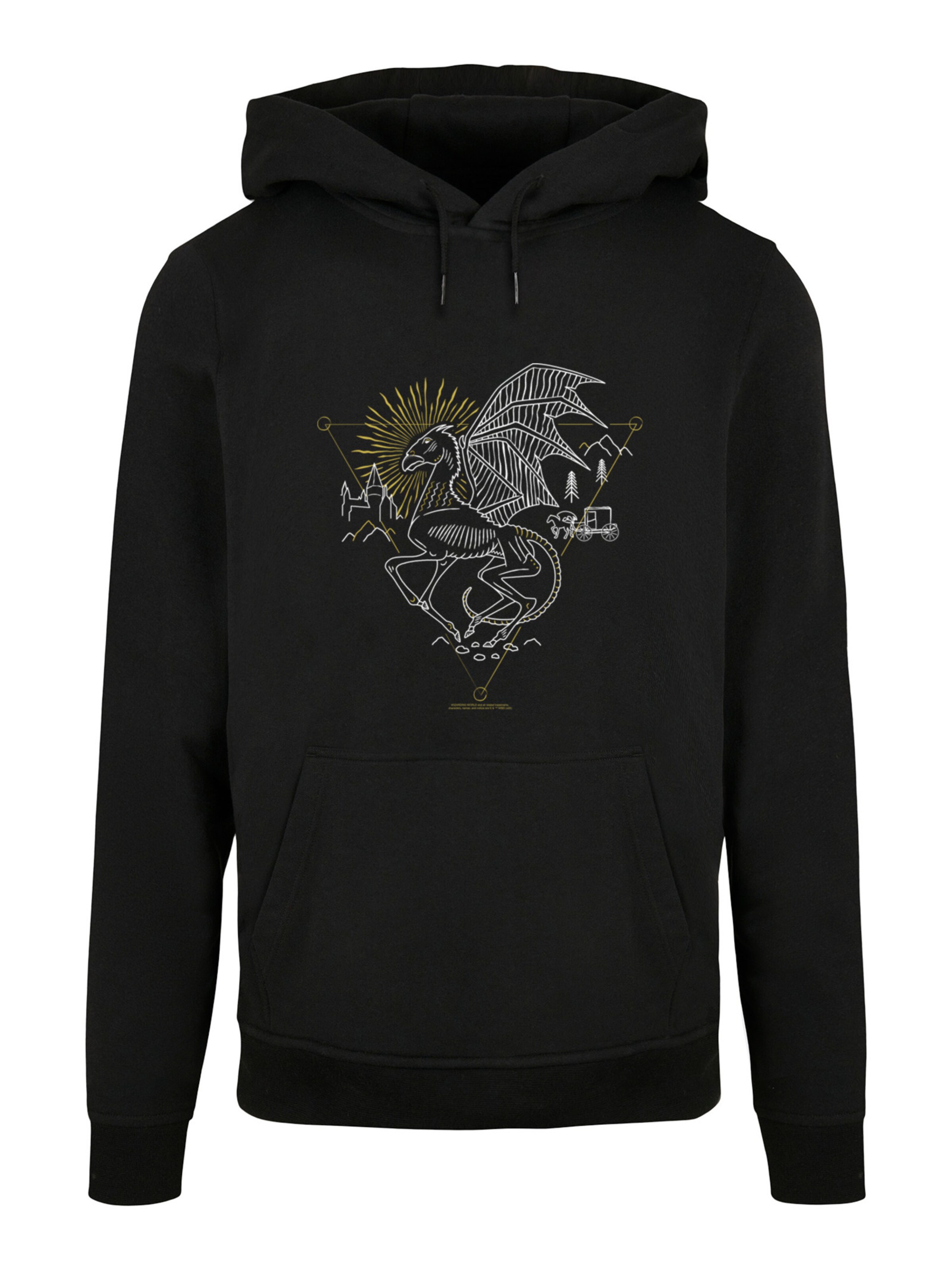 F4NT4STIC Sweatshirt in Black: front