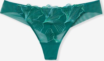 String di ETAM in verde: frontale