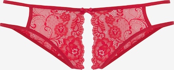 Ouvert di PETITE FLEUR GOLD in rosso: frontale