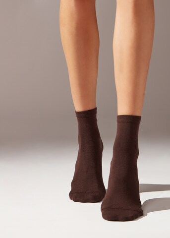 CALZEDONIA Socks in Brown: front