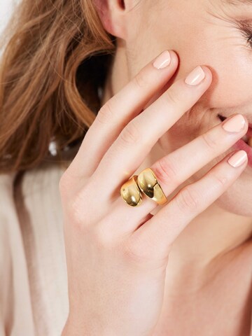 Bague Lucardi en or : devant