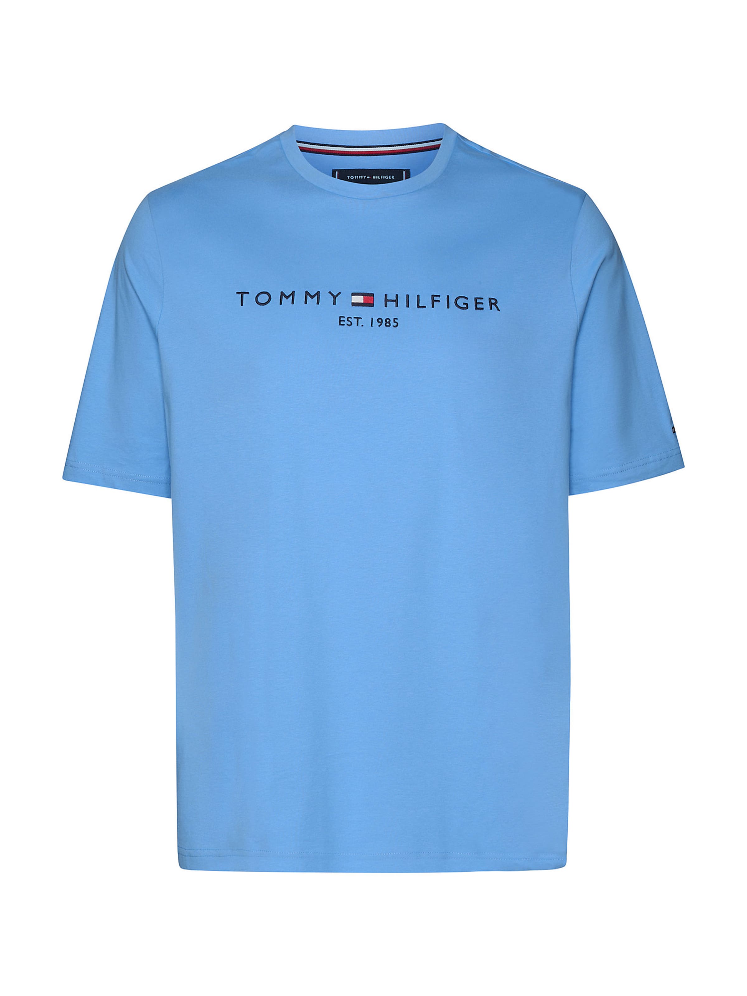 Big and tall tommy hilfiger t shirts hotsell