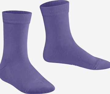 FALKE Socks 'Family' in Purple: front
