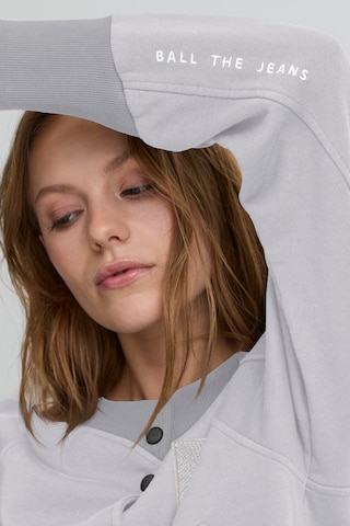 Ball Zip-Up Hoodie 'ALBERTA' in Grey