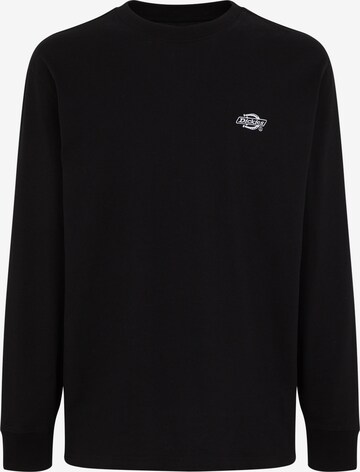 T-Shirt 'SUMMERDALE' DICKIES en noir : devant