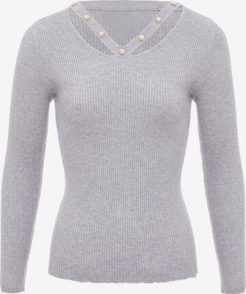 Pull-over leo selection en gris : devant