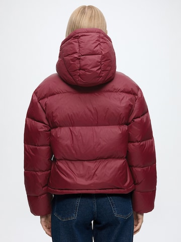 Calvin Klein Jeans Vinterjacka 'ESSENTIAL' i röd