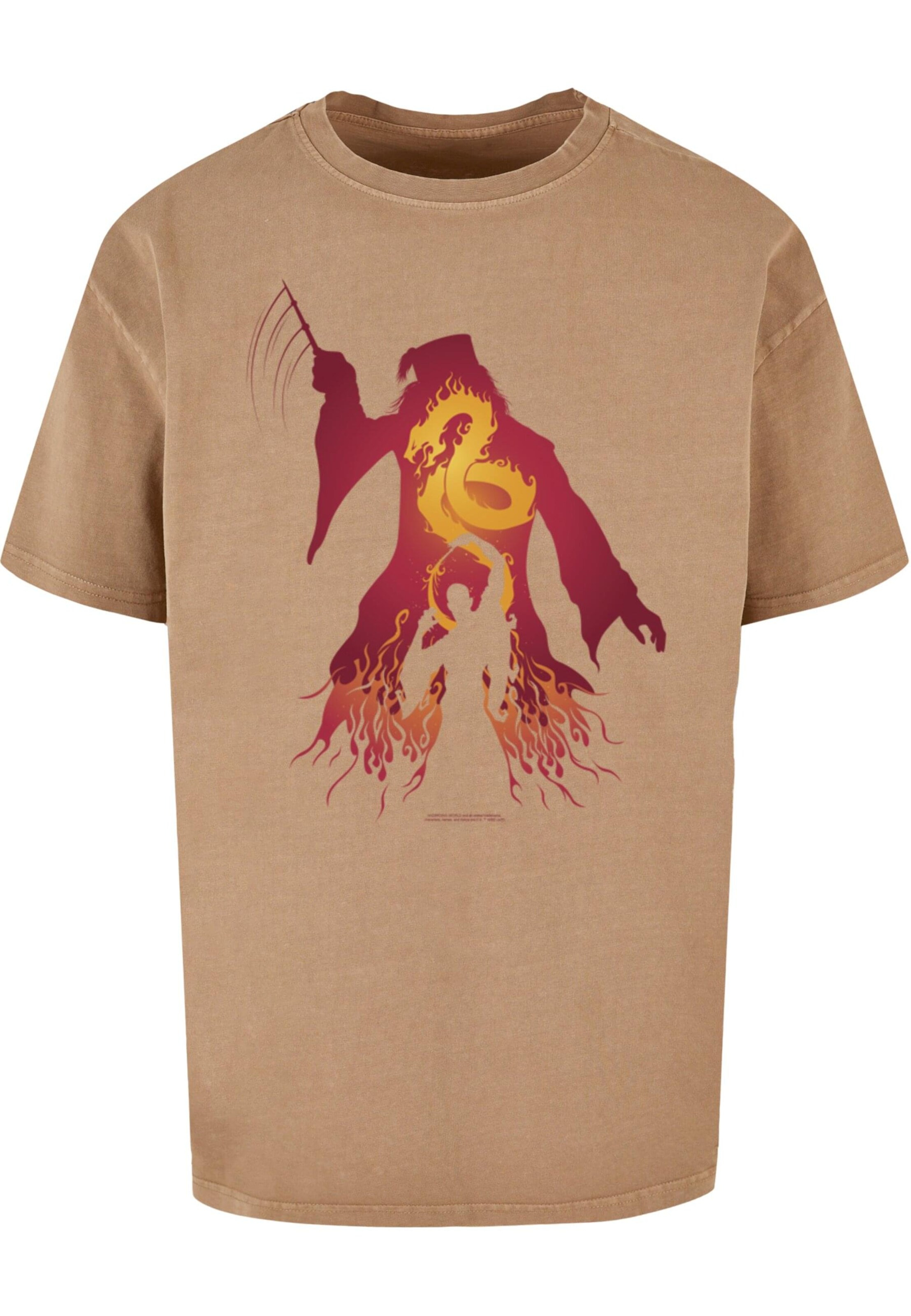 T-Shirt 'Harry Potter - Dumbledore Silhouette' ABSOLUTE CULT en marron : devant