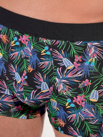 Boxers ' Boxer Briefs Havana ' HOM en mélange de couleurs