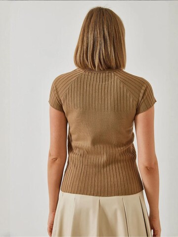 Bianco LucciPulover 'Pullover' - smeđa boja