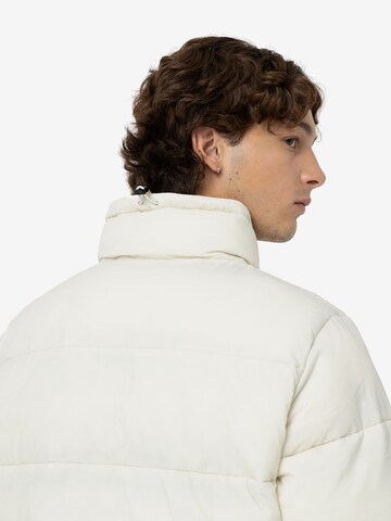 DICKIES Winter jacket 'WALDENBURG' in White