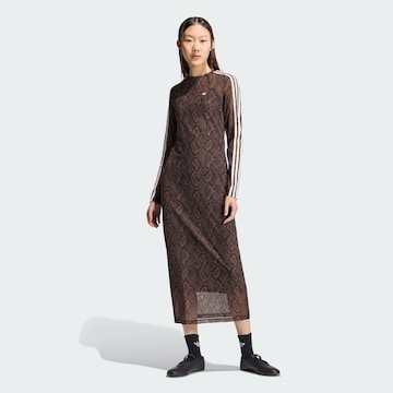 ADIDAS ORIGINALS Φόρεμα σε καφέ