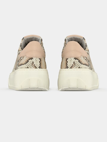 GABOR Низкие кроссовки в Белый