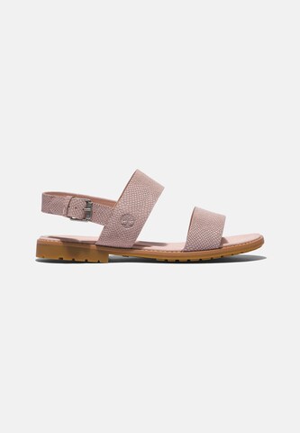 TIMBERLAND Sandals 'Chicago Riverside' in Pink