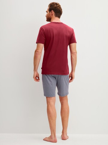 CALIDA Short Pajamas 'Cotton Special' in Purple