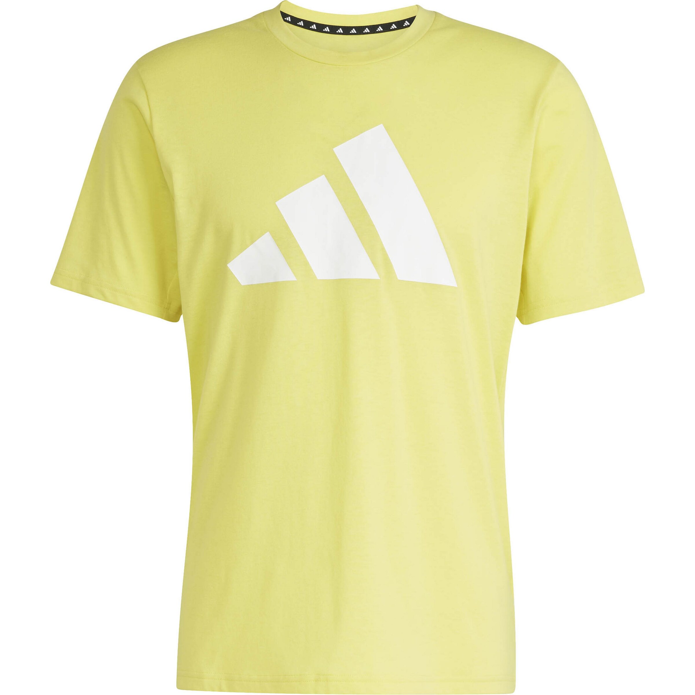 ADIDAS PERFORMANCE Funktionsshirt 'Train Essentials Feelready' in Grün: Vorderseite
