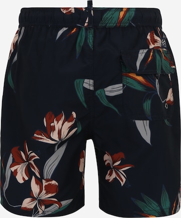 Superdry Board Shorts in Blue