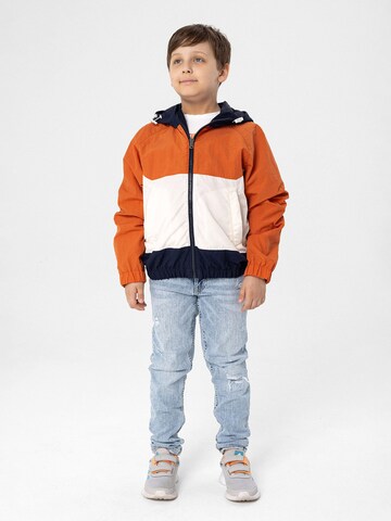 Veste mi-saison Daniel Hills en mélange de couleurs
