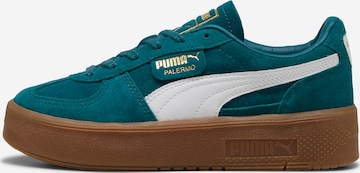 Baskets basses 'Palermo Elevata' PUMA en vert : devant