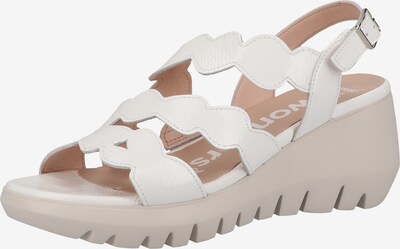 Wonders Sandalen in weiß, Produktansicht