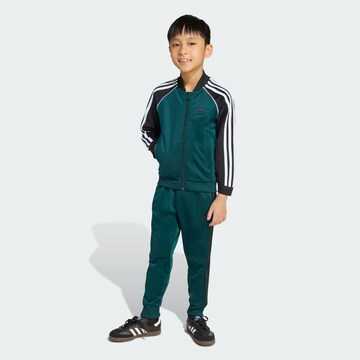 zaļš ADIDAS ORIGINALS Treniņtērps 'Adicolor': no priekšpuses