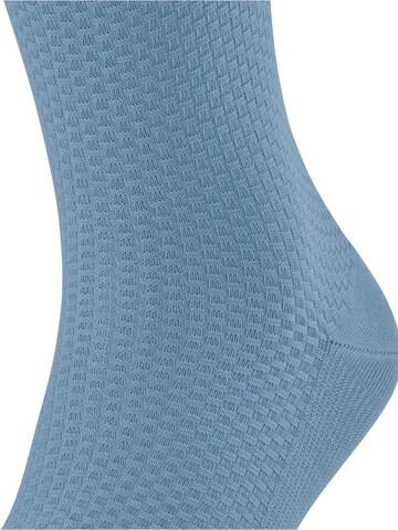 FALKE Socks 'Tiago Special Edition' in Blue