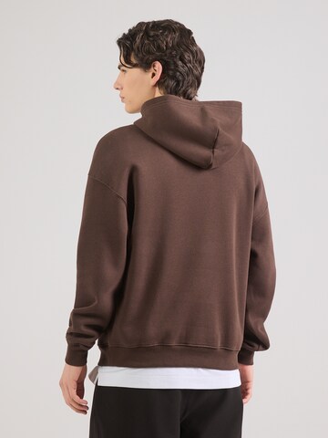 HOLLISTER Bluzka sportowa w kolorze brązowy