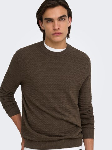 Pullover 'ONSLoui' di Only & Sons in marrone