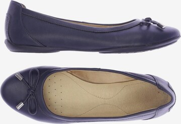 GEOX Flats & Loafers in 38 in Blue: front
