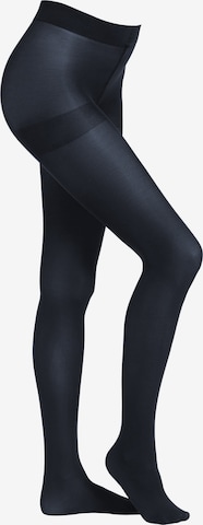 camano Fine Tights in Blue