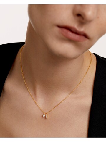 P D PAOLA Necklace in Gold