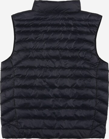 Polo Ralph Lauren Bodywarmer in Blauw