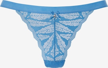 mėlyna VIVANCE Siaurikės: priekis