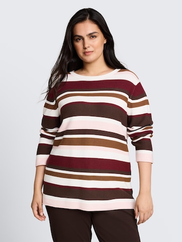 Pull-over Tom Tailor Women + en mélange de couleurs : devant
