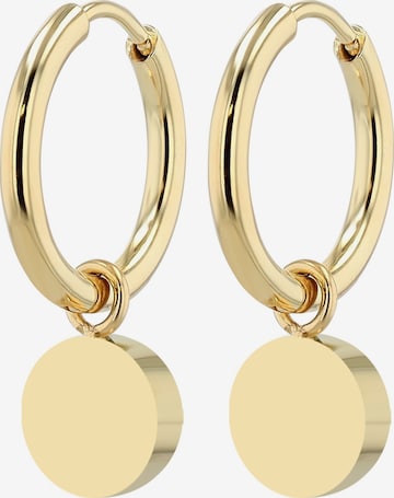 Akzent Ohrringe in Gold: Vorderseite