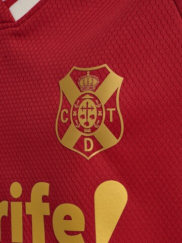 Hummel Performance shirt 'CDT 25/26 Away' in Red