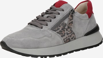 GABOR Matalavartiset tennarit värissä harmaa: etupuoli