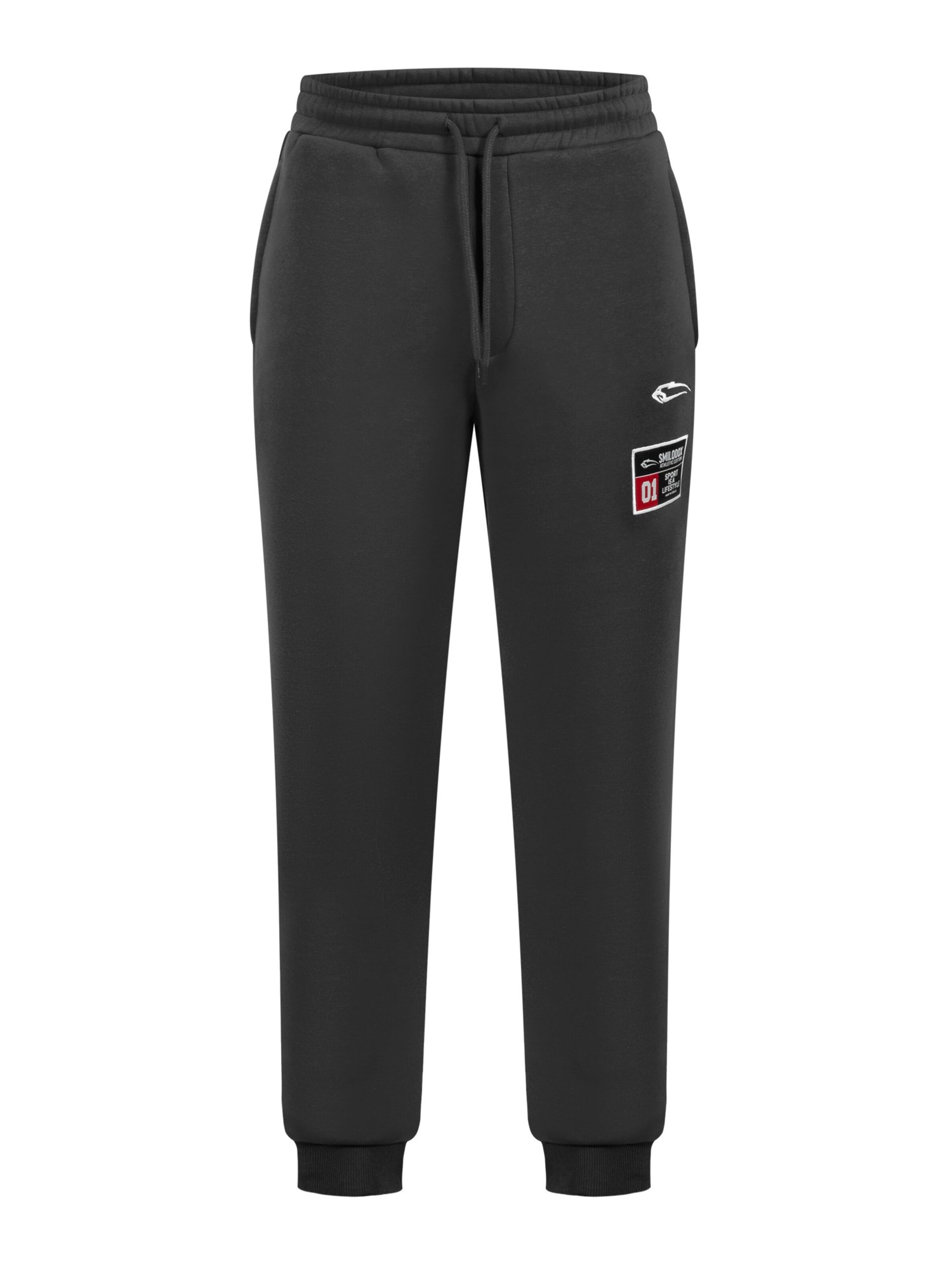 Pantalon Smilodox en gris : devant