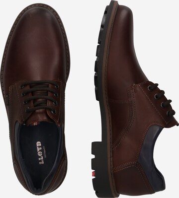 LLOYD Lace-Up Shoes in Brown