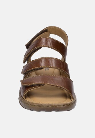 JOSEF SEIBEL Sandals 'Debra 57' in Brown