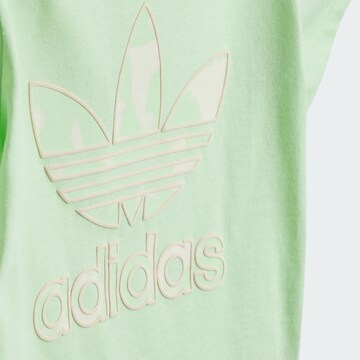 Set ADIDAS ORIGINALS en vert