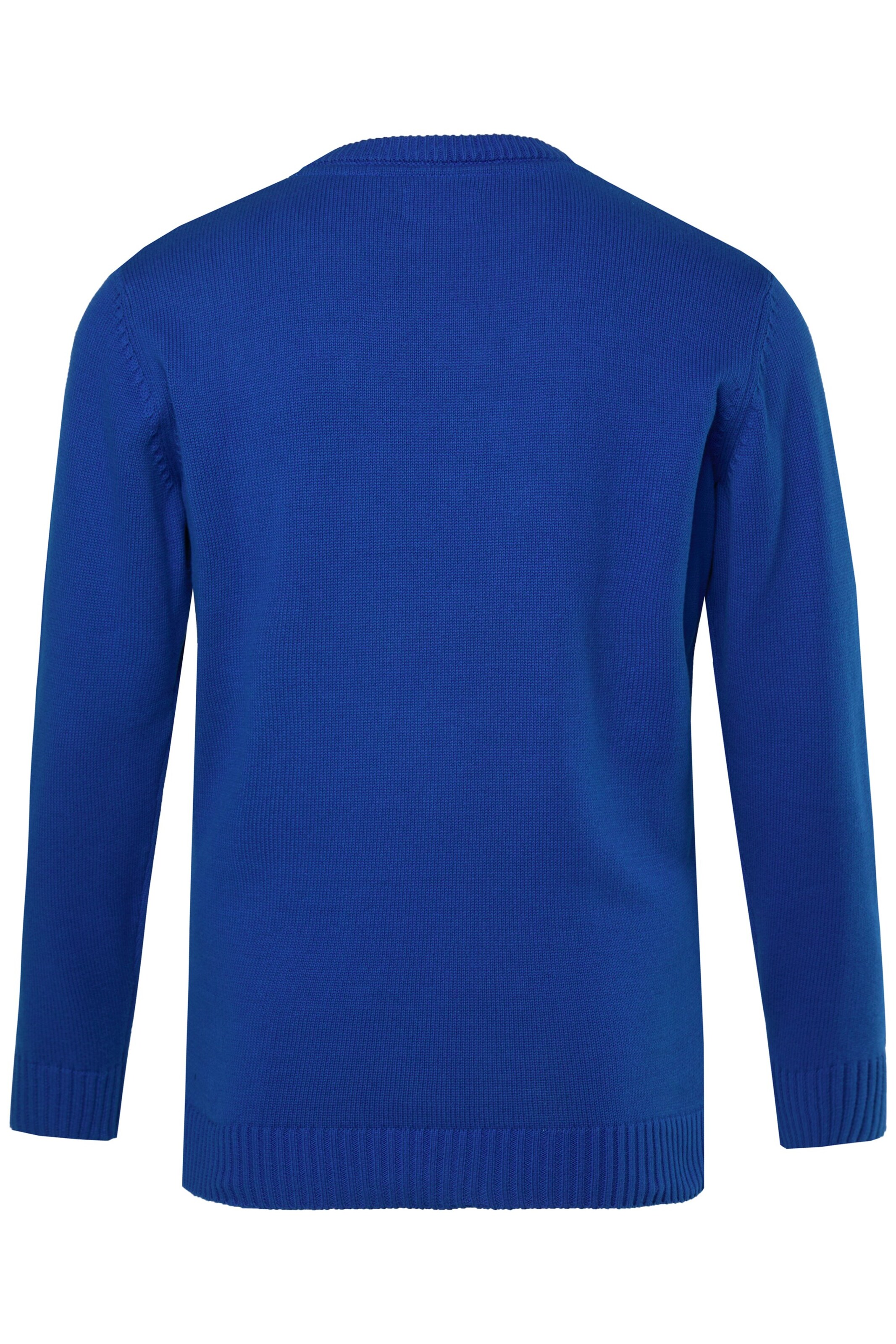 Men Plus Sweater in Blue