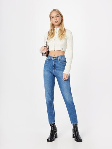 Calvin Klein Jeans Regular Jeans in Blue