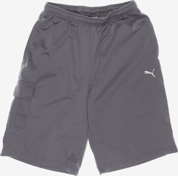 PUMA Shorts in 33 in Grey: front