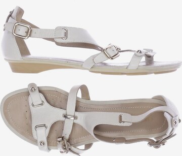 GEOX Sandalen 37 in Weiß: predná strana