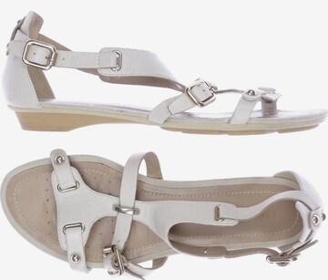 GEOX Sandals & High-Heeled Sandals in 37 in White: front